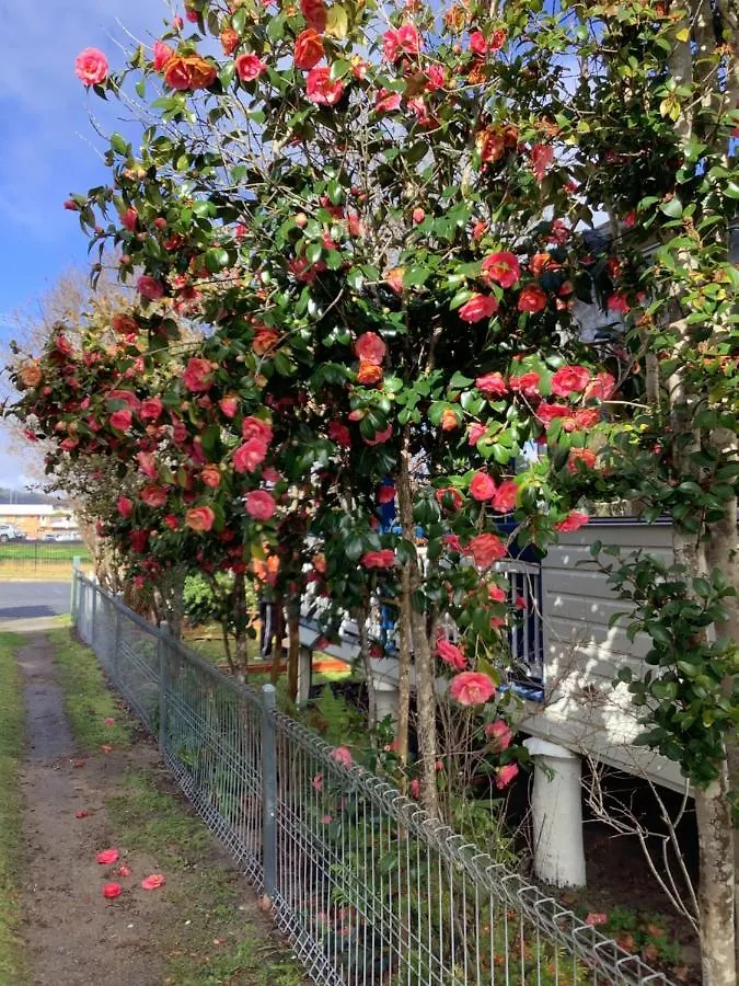 Rosellas On Corundum Cottage - Treat Yourself! Stanthorpe